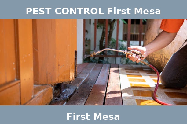 PEST CONTROL First Mesa